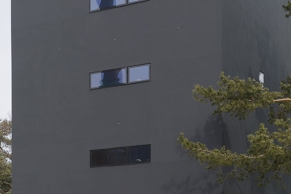 Graue Hausfassade
