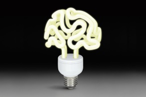 Brain_Birne