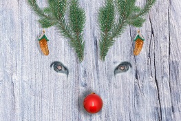 FESTE UND FEIERTAGE