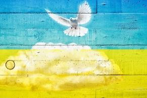 Friedenstaube auf einer Betonwand in den Farben der Ukrainenfahne