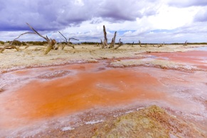 Saline_Strandes Es Trenc