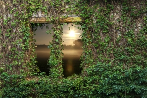 Efeufenster