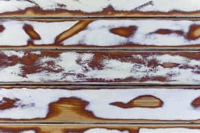 Holztextur